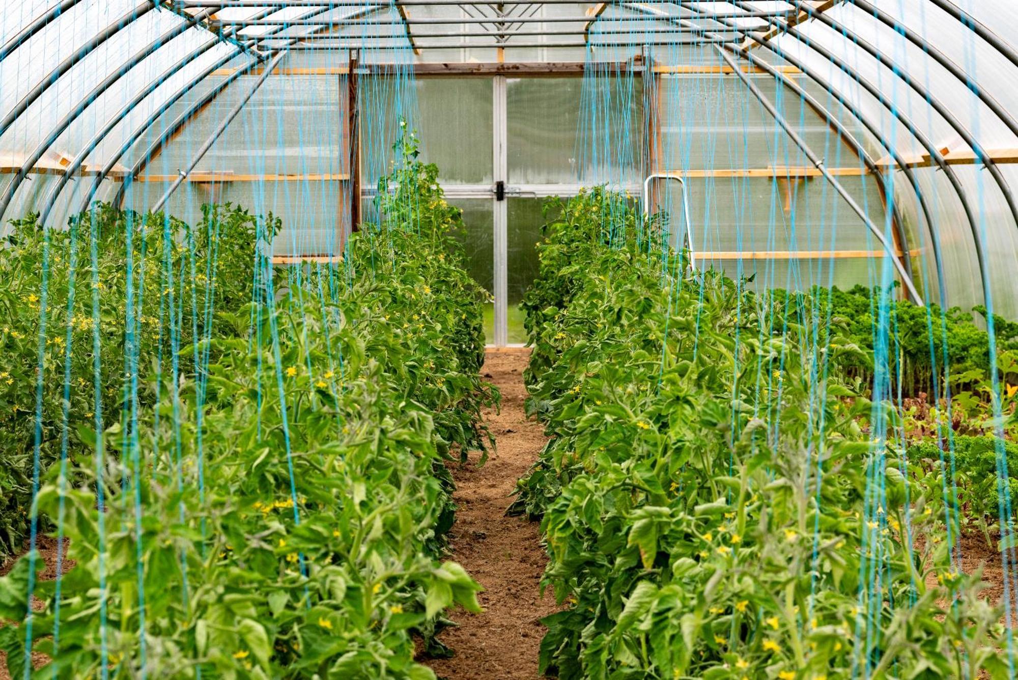 Mothir Joerth Organic Farm Guesthouse In Vallanes Exteriér fotografie